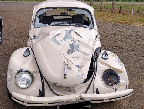 Fusca fica destruído ao atropelar vaca na Serra Catarinense