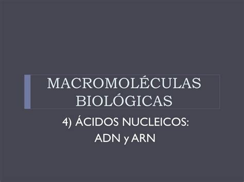 PPT MACROMOLÉCULAS BIOLÓGICAS PowerPoint Presentation free download