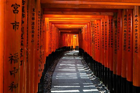 9 Must-Visit Shrines in Kyoto