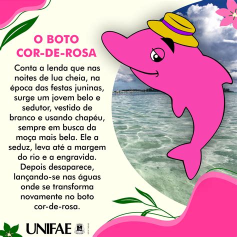 Boto Cor De Rosa História - 9