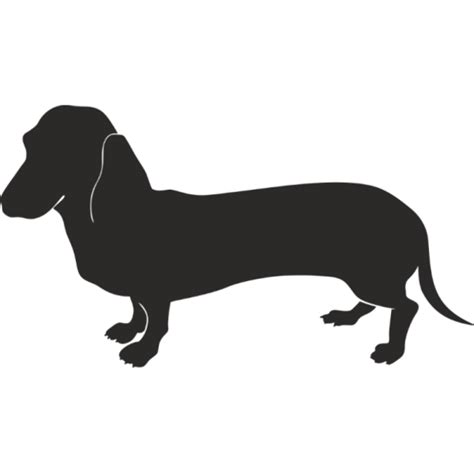 Dachshund Png Image With Transparent Background Free Png Images