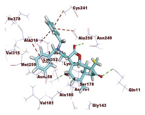 A D Structure Of Compound Docked Into The Colchicine Binding