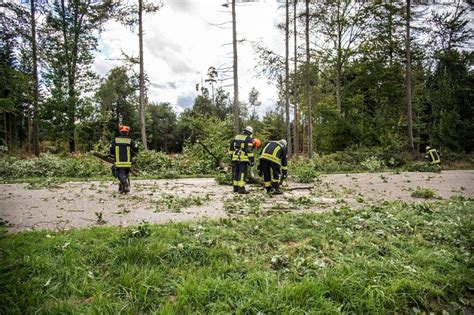 Umgekippter Baum In Plochingen Esslinger Zeitung