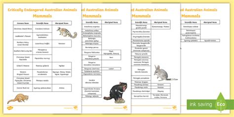 Endangered Australian Mammals Research Starters - Twinkl