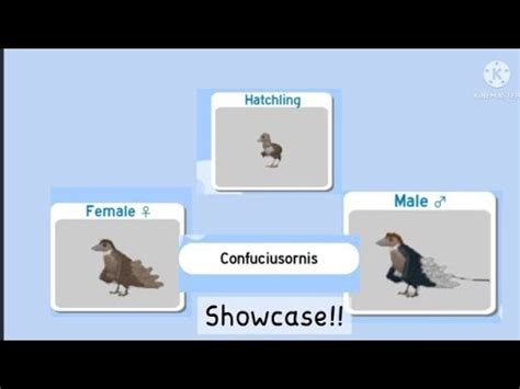 Confuciusornis showcase| Roblox Feather Family - YouTube