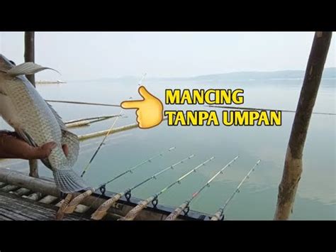 SPOT BAGUS JARANG YANG MANCING SARANG NYA NILA BABON YouTube