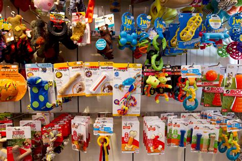 How to save on pet expenses, Local songbirds increasingly at-risk - WPR