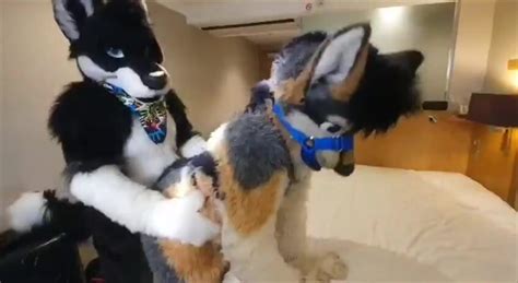 Fursuit Sex Video Thisvid