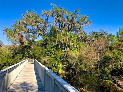 Omni Amelia Island - Spa Bridge | Amelia island, Babymoon, Island