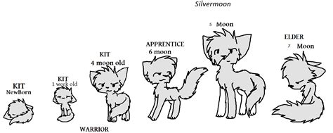 Silver moon Warrior Cat Oc by xXBilboHolmesXx on DeviantArt