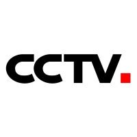 China Central Television | LinkedIn