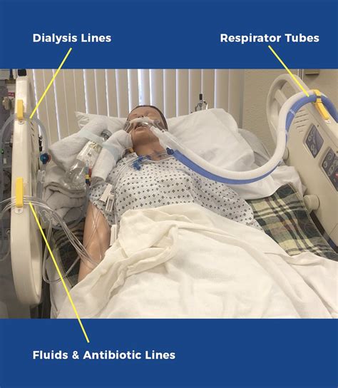 Iline Iv Line Organizers Designed By Nurses To Improve Patient Bedside