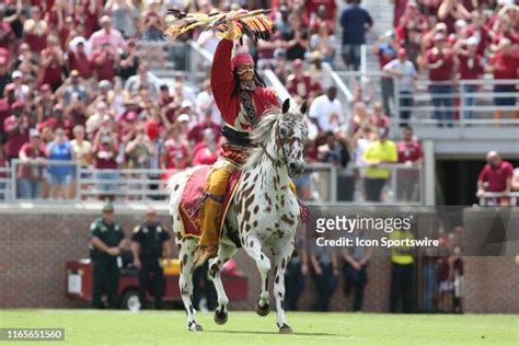 Fsu Mascot Photos and Premium High Res Pictures - Getty Images