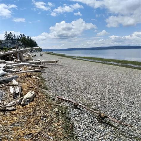 Madrona Beach in Seattle, Washington 98122 | Things to Do - Amazingworld