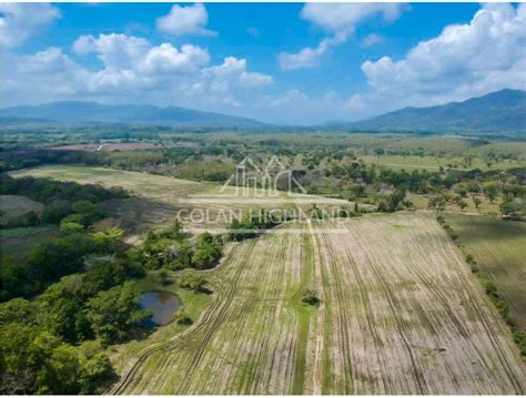 Se Vende Finca De Has En Torti De Chepo Venta De Bienes Ra Ces En