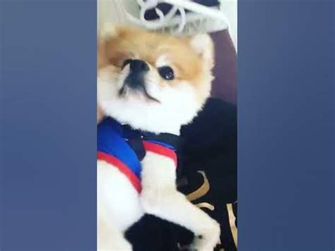 Спайдерман - YouTube