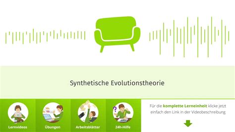 Synthetische Evolutionstheorie einfach erklärt sofatutor YouTube