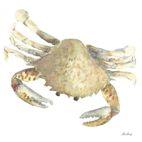 Somerset House - Images. TAN CRAB