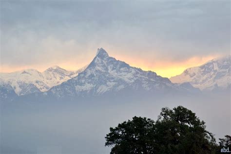 Himalayan Sunrise | Glad Tidings