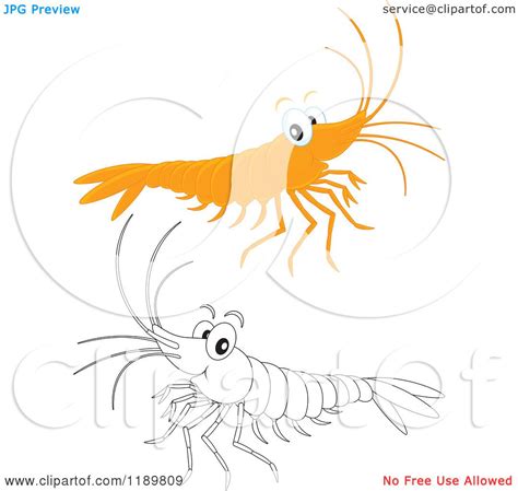 Cartoon Of A Cute Happy Colored And Outlined Shrimp Royalty Free