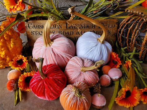 5 Silk Velvet Pumpkins With Real Stems And 8 Acorns With Real Caps 1974 Etsy