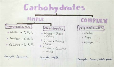 Carbohydrates Chart | PDF