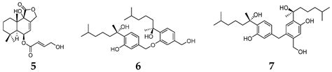 Cytotoxic Natural Products From Marine Sponge Derived Microorganisms