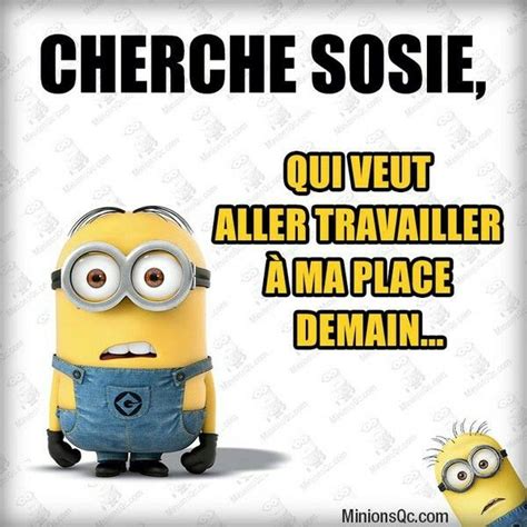 Gratuit Minion Amour Citation Drole Memedolci