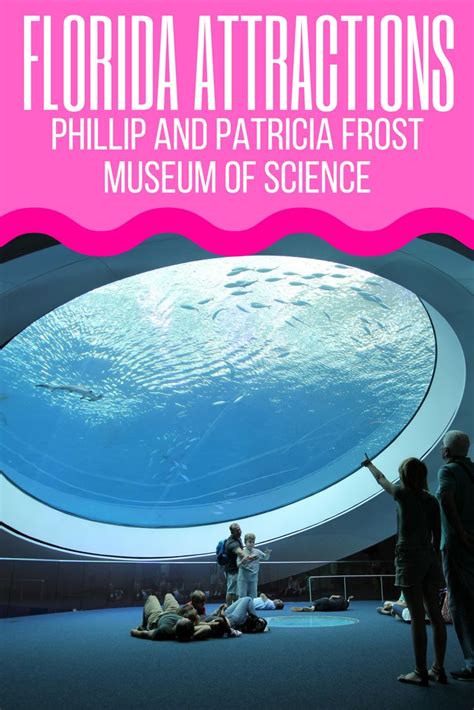 Explore The Phillip And Patricia Frost Museum Of Science In Miami