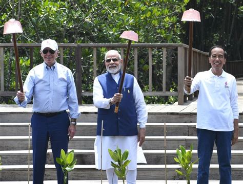 G20 Summit Pm Modi Plants Mangroves With World Leaders In Bali