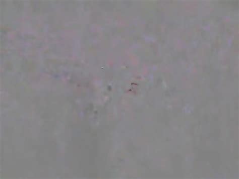 Really Beautiful Korean GF S Dirty Sex Part