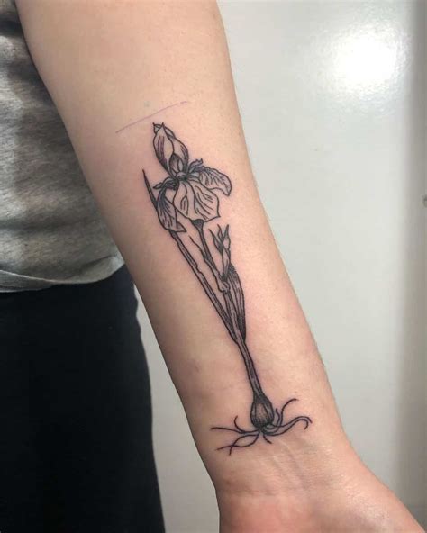 February Birth Flower Tattoo Iris Tattoo Ideas Howlifestyles