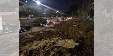 Se deslinda SICOM de tala de árboles en el Malecón del Río