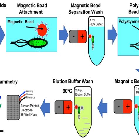 Magnetic Separation Process Flowchart