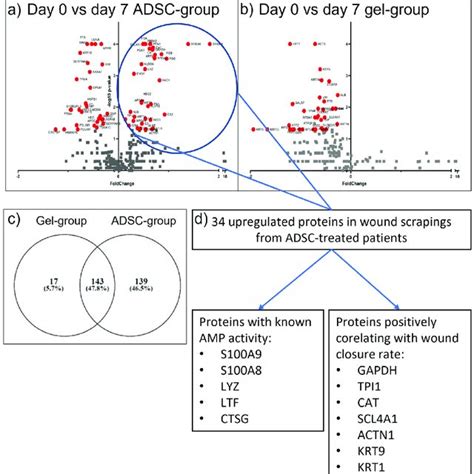 Results Of Wound Scrapings Proteomic Analysis Volcano Plot Of The