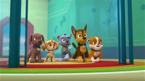 Paw Patrol Marshalls Weekly Wipeouts Season 5 Ultimate Rescue