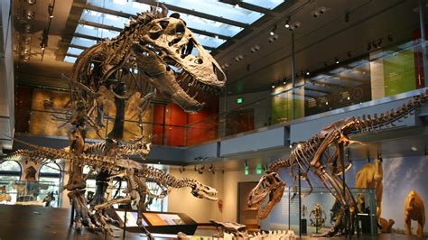 Natural History Museum of Los Angeles County (NHM) | Chiropractor Los ...