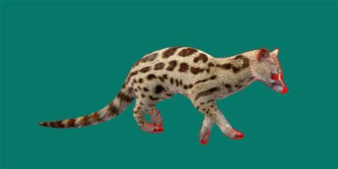 Genet Animals - 3D Model by Nyilonelycompany