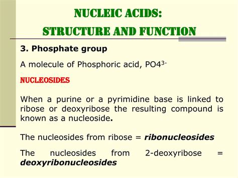 PPT - NUCLEIC ACIDS: STRUCTURE and FUNCTION PowerPoint Presentation ...