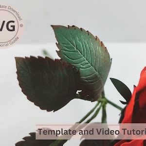 Paper Flower Rose Leaves Template Rose Leaves Digital Svg Video