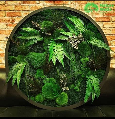 Мох на стене живая стена Moss Wall Art, Moss Art, Nature Wall Art ...