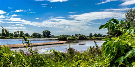 Elbe Deich Fluss Kostenloses Foto Auf Pixabay Pixabay