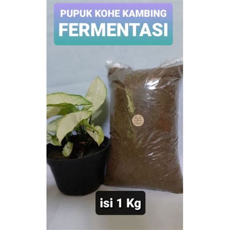 Jual PUPUK KOHE KAMBING FERMENTASI PUPUK KOMPOS PUPUK ORGANIK TERMURAH