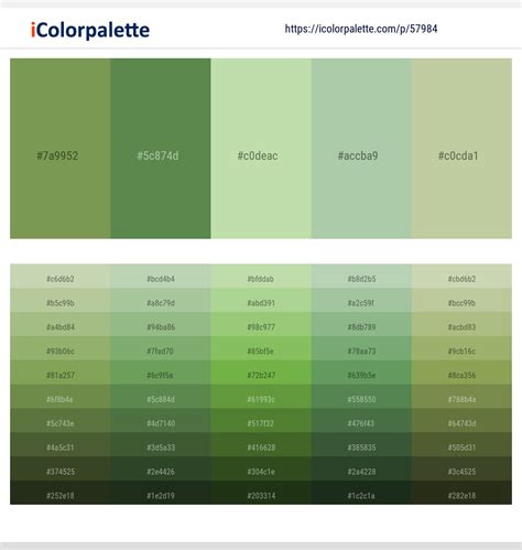 2 Latest Color Schemes With Moss Green And Spring Rain Color Tone Combinations 2024