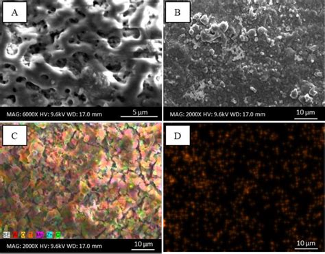 Sem Micrographs Of A Oxide Coating Obtained With Peo Method B Tio