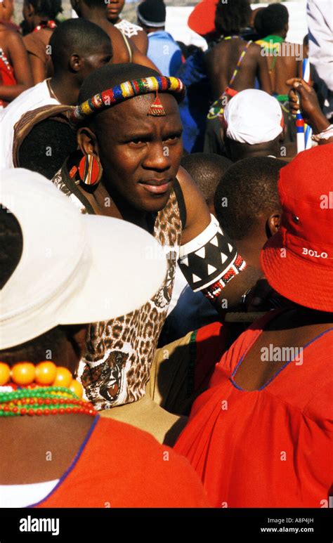 Zulu Reed Dance Ceremonial Participants Natal South Africa Stock