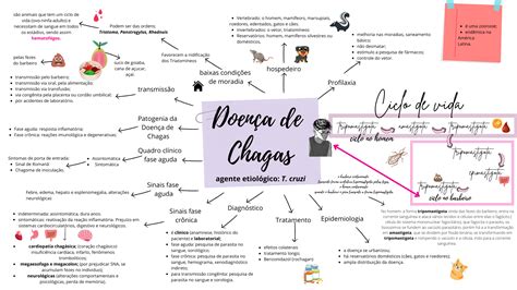 Mapa Mental Doença De Chagas ROAREDU