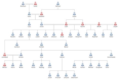 Austin Precept - Surveys Hyatt
