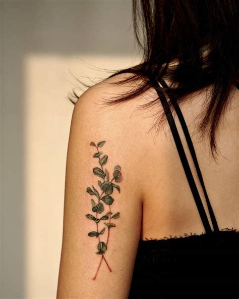 Eucalyptus Tattoo Located On The Tricep Watercolor