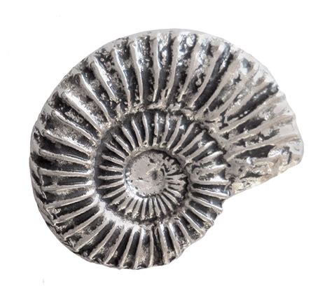 Ammonite Fossil Large Pewter Pin Badge Hand Made In Cornwall Etsy